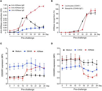 Asparaginase-specific basophil recognition and activation predict Asparaginase hypersensitivity in mice